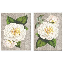 raynabows Antique Flowers, 2 sized 8x10" Vintage flower prints, white, creme  neutrals