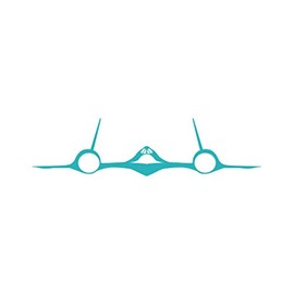 RDW Blackbird SR-71 Sticker - Decal - Die Cut - skunkworks Skunk - Teal 22.00" x 5.59"