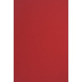 Netuno Sirio Colour Lampone Coloured Cardboard, Red, DIN A4, 210 x 297 mm, 170 g, Fine Cardboard, Creative Cardboard, Coloured Craft Sheet, Natural Cardboard for DIY Projects, Business Cards, Pack of
