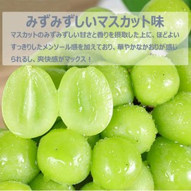 Ploom Tech Plus Compatible Cartridges, Muscat Flavor, Menthol Feel, Plenty of Vapor, Leak-proof, Set of 20