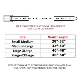 Woodland Leathers Elastic Braided Belt, Unisex Men Women Casual Stretch Woven Belt (Multi Brown, Large-XLarge)