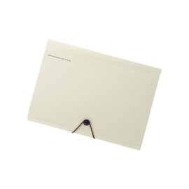 Lihit Lab A7589-16 Carrying Document Smart Fit A4 6 Pockets, Beige