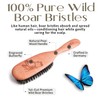 100% Pure Calcutta Boar Bristle Hairbrush for Natural Healthy Hair,