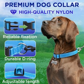 TECEUM Reflective Pet Collar – Sky Blue – XS – Basic Nylon Dog Collar – Quick Release Buckle – Fits Small, Medium and Large Dogs, Puppies, Cats – ESA & Service Dog Options