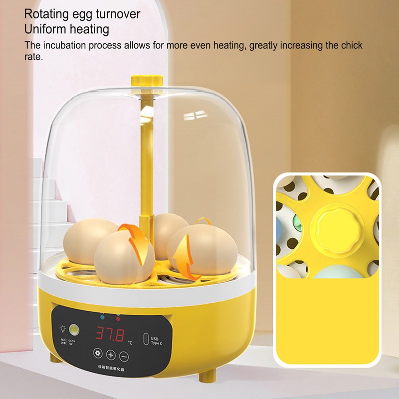 4 Eggs Incubator Temperature Humidity Control Visual Low Noise Energy
