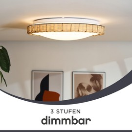 Leuchte.Store May LED Ceiling Light, Round Dimmable Ceiling Light, Diameter 31 cm, Made of Metal in Modern Rattan Decoration, 12 Watt, 1100 Lumen, Light Colour 3000 Kelvin, Modern Ceiling Lighting,