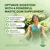 High Strength Mastic Gum Capsules - Herbal Digestion Supplement Providing