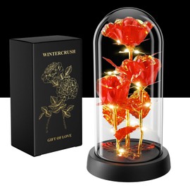 WINTERCRUSH Light-Up Glass Rose Flowers Gifts for Mom, Grandma, Wife - Beautiful LED Home Decor for Birthday, Valentine's Day