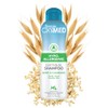 TropiClean OxyMed Hypoallergenic Pet Shampoo, 20-Ounce