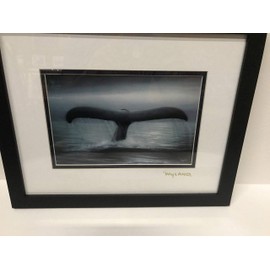 by Wyland Whales Tail Custom Framed in Flat Black Gold Foil Stamp