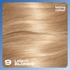 Clairol Lasting Colour Permanent Hair Dye | Perfect Grey Coverage