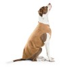 Gold Paw Series Fleece Jacket (2, Camel)