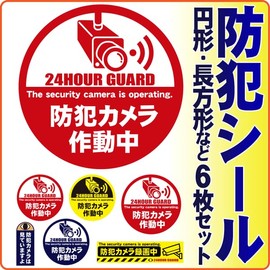 Cyberplugs Security Camera Seals, Set of 6, Stickers, Security, Security Goods, Large Size