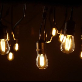 GOODSMANN Outdoor Low Voltage String Lights 12V 10PK LED 50FT Hanging Lighting Bulbs with 2800K Warm White Weatherproof Bulb for Garden Hallway Patio Party Decoration 9132-82601-10A