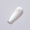 [Single item] Nail silver material red white silk magnetic gel 5 types, 1 piece, 9g, nude silver / [단품] 네일은재료빨 화이트 실크 자석젤 5종, 1개, 9g, 누드실버