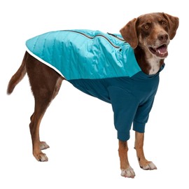 Furhaven Water-Repellent Large Dog Coat, Washable w/ Leash Access & Stretch Fabric - Pro-Fit Active Jacket - Aquamarine, Large