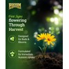 FoxFarm Hydro Liquid Trio Pack - Big Bloom, Grow Big