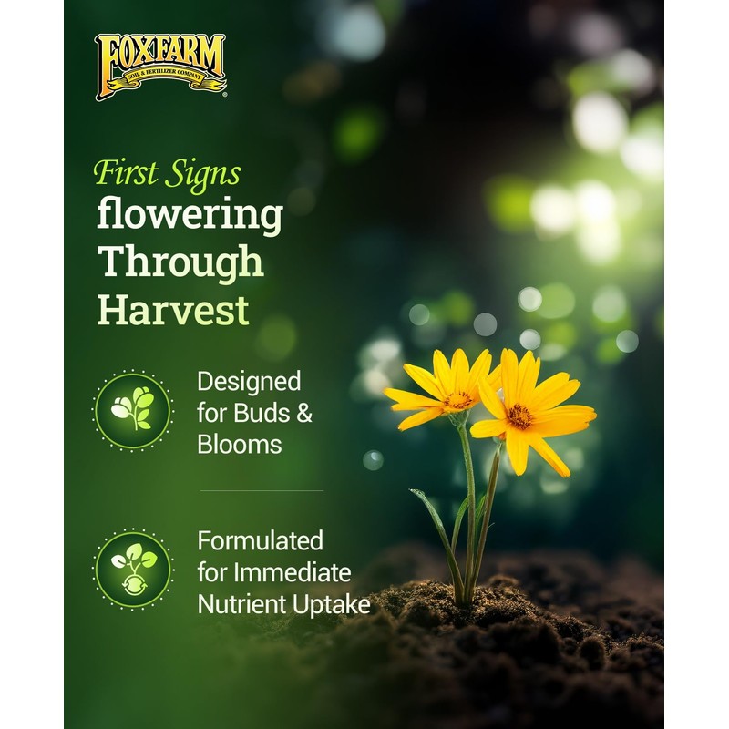 FoxFarm Hydro Liquid Trio Pack - Big Bloom, Grow Big