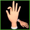 Flectional Model Hand Adjust Nail Art Practice Training Model Gel Stand Display