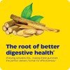 Enzymedica Dgl Gomitas Calmantes Estómago