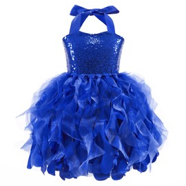 Royal Blue Sequin Tutu Dress for Girls Sparkly Fairy Tulle Princess Party Dresses for Little Girl Kids Prom Wedding Sneaker Ball Gown Birthday Dance Pageant Graduation Christmas Outfit 5-6T