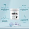 Instant Creatine Monohydrate Powder, 5g Per Serving – 120 Servings