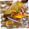 Kisangel 5pcs Reusable Fishing Lures Soft Baits for Freshwater Fishing