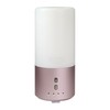 IceLabs Essential Oils Aluminum Alloy Ultrasonic Aromatherapy Aroma Diffuser with