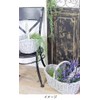 Murataya Sangyo Willow Basket Small Gray 3632 Width 7.9 x