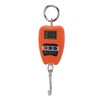 Portable Electronic Scale High Accuracy Digital Hanging Scale 200kg Weight