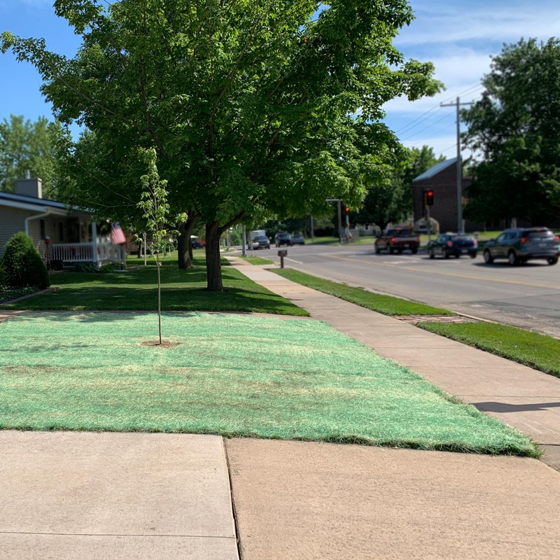 American Excelsior QuickGRASS Pro Green Jute Net Erosion Control Blanket