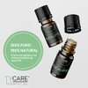 Aceite Esencial de Eucalipto (Eucalyptus Globulus) - 100% PURO PREMIUM