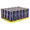 Tecnifibre Champion One Tennis Ball (Case)