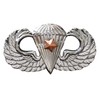 US ARMY Combat Parachutist BASIC 1ST AWARD FULL SIZE JUMP