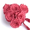ROSEMARIE SCHULZ Heidelberg Infinity Rose Box Heart Shape with Dedication