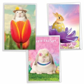 NobleWorks Assortment Pack of 3 Funny Easter Greeting Cards with Envelopes (3 Designs, 1 Each) Flower Power Rabbits VC10394EAG-C1x3