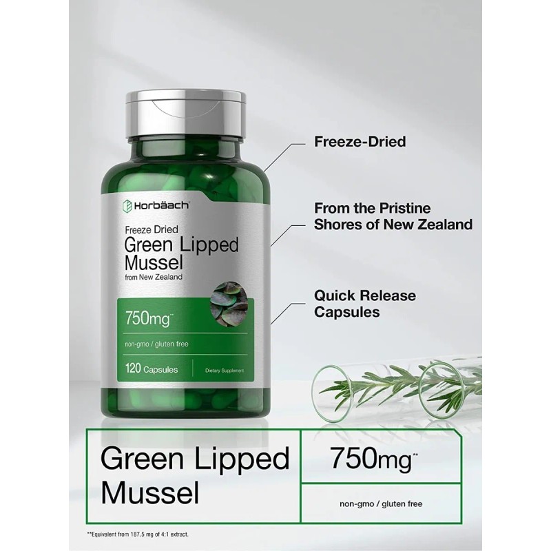 Mejillon Labio Verde Green Lipped Mussel 120 Capsulas Eg N17