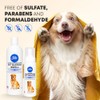 No-Rinse Waterless Foaming Pet Shampoo Refill (x2)