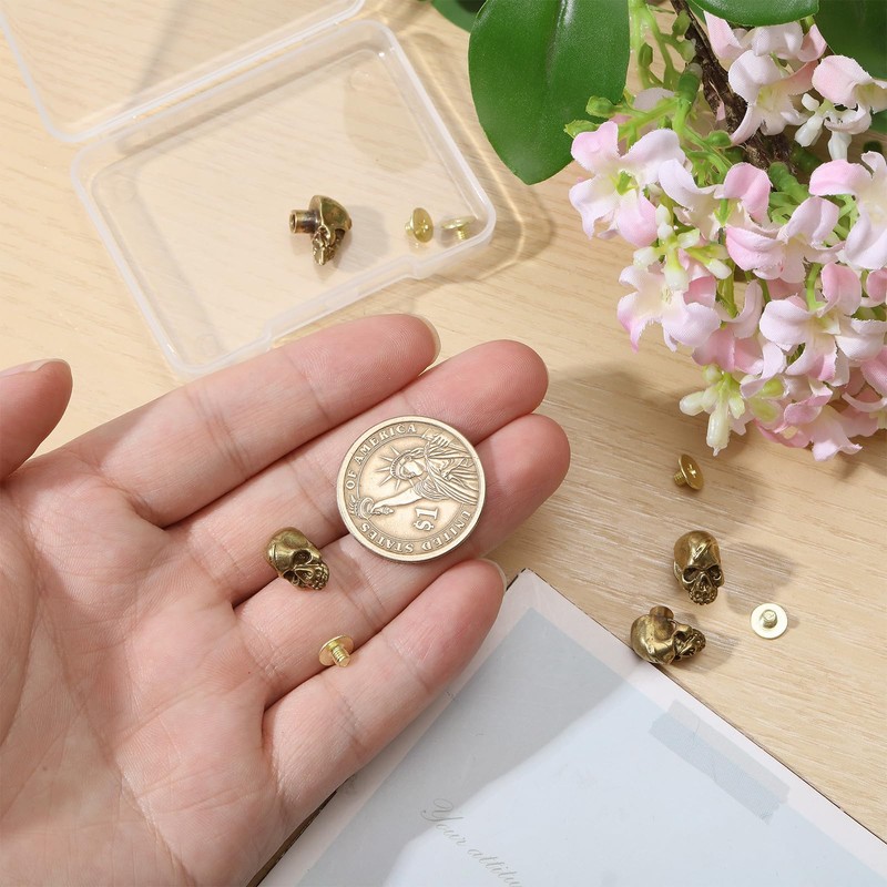 CHGCRAFT 6 Pcs Brass Conchos Skull Leather Craft Rivet Stud