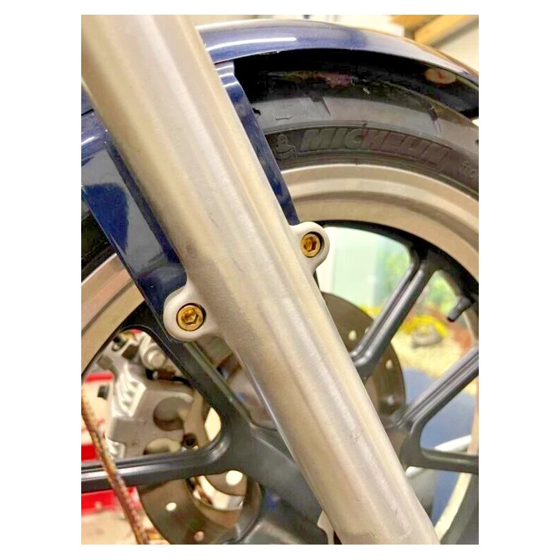 DIY 4 Harley Sportster SOLID BRASS Front Fender Bolts chopper