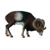 CollectA European Mouflon