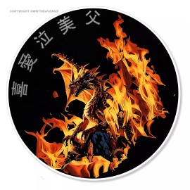 OwnTheAvenue Dragon Flames Fire JDM Kanji Japanese Racing Drifting Vinyl Sticker Decal 4"