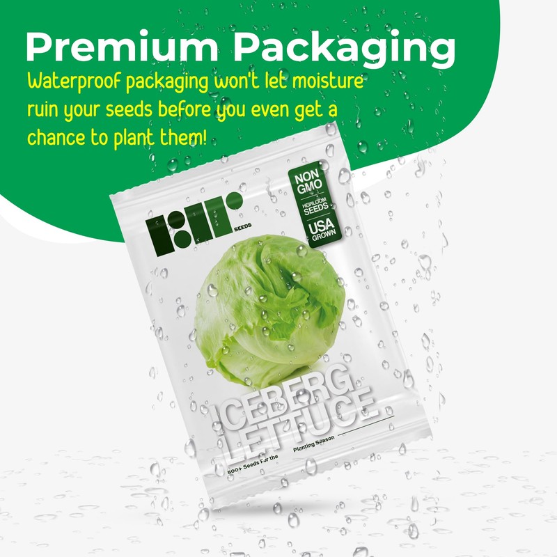 500 Iceberg Lettuce Seeds for planting - Heirloom Non-GMO USA