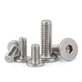 Low Profile Thin Head Stainless Steel Bolts Hex Head 6-30mm - M3 6mm / 50