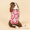 Fitwarm Cherry Dog Cooling Vest, Summer Clothes for Small Dogs