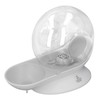 Pet Water Dispenser Snail Shape Automatic Transparent 2.8L Large Capacity
