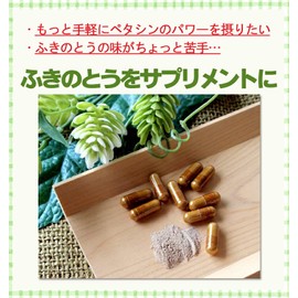 ふきのとうサプリメント90粒 ペタシン サプリメント 蕗の薹 フキノトウ 粉末 パウダー バターバー butter bur