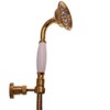 Bathroom Shower Head Hand Shower with Hose Shower Holder Gold