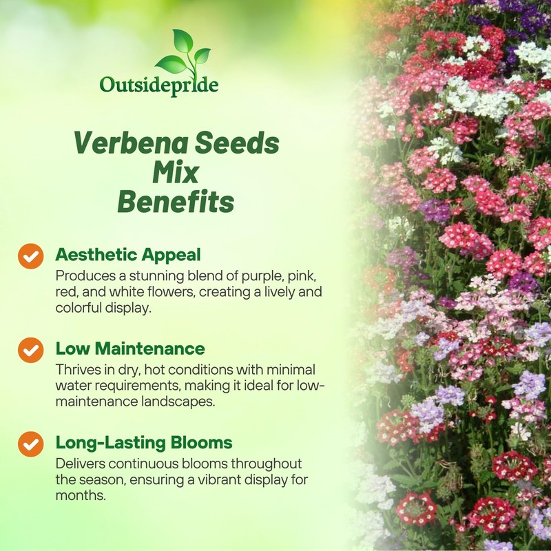 Outsidepride Mix Verbena Seeds for Planting - 1000 Pcs. Annual,