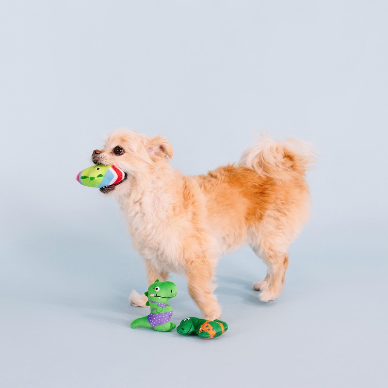 Fringe Studio Plush Dog Toy Set, Rawr-Ing Summer, Small 3